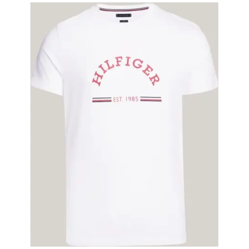 TOMMY HILFIGER Rwb arch gs tee
