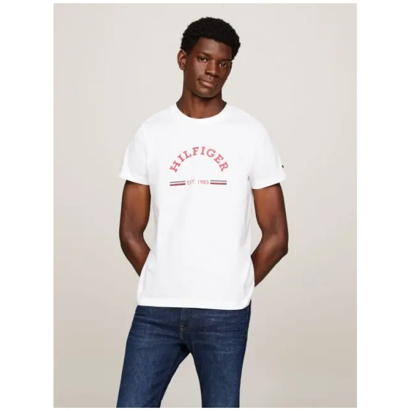TOMMY HILFIGER Rwb arch gs tee