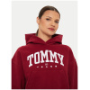 TOMMY JEANS VTG VARSITY 1 HOODIE