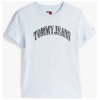 TOMMY JEANS Reg floral varsity tee