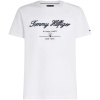 TOMMY HILFIGER Script logo tee