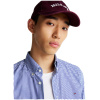 TOMMY HILFIGER Flex poplin gingham rf shirt