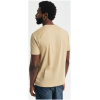 GANT Printed graphic t-shirt oak beige